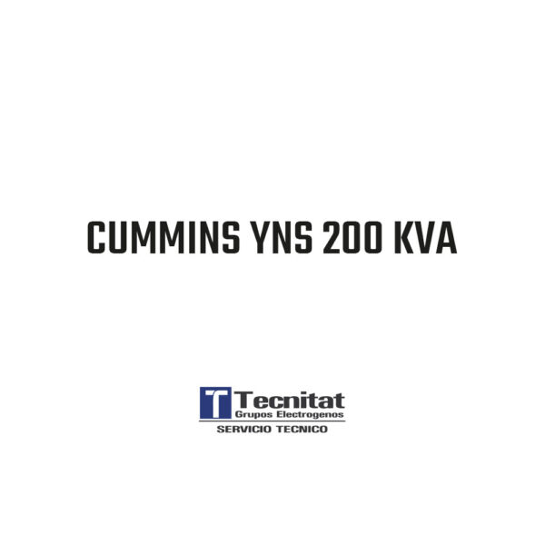 CUMMINS YNS 200 KVA  -  TTA-PSY-200-AB