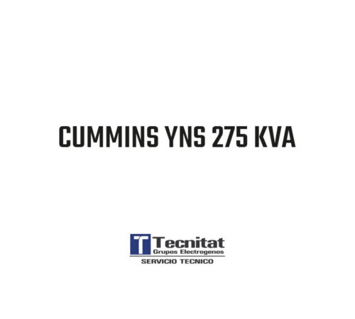 CUMMINS YNS 275 KVA  -  TTA-PSY-275-AB