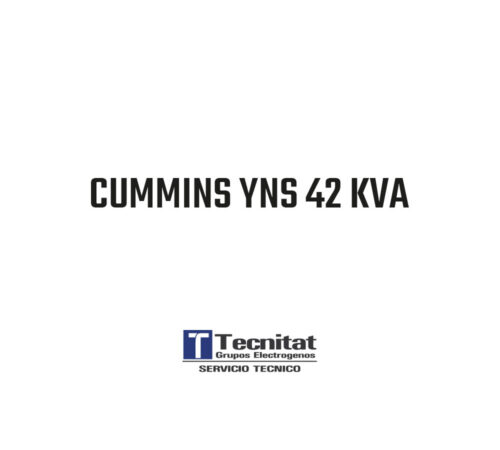 CUMMINS YNS 42 KVA  -   TTA-PSY41-IC