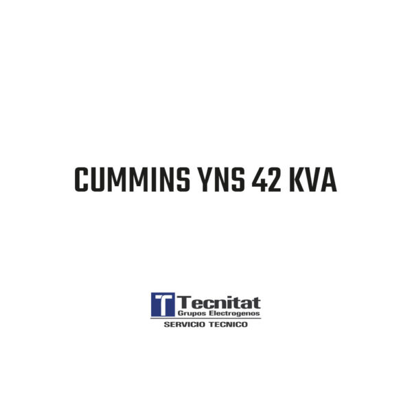 CUMMINS YNS 42 KVA  -   TTA-PSY41-IC