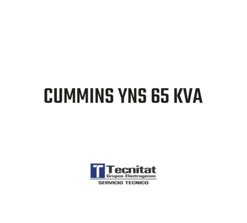CUMMINS YNS 65 KVA  -   TTA-PSY69-AB