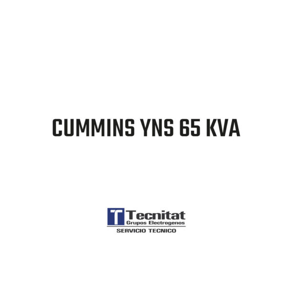 CUMMINS YNS 65 KVA  -   TTA-PSY69-AB